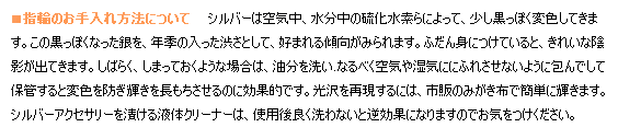 シルバーのお手入れ方法と指輪のサイズ